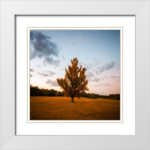 Chickamauga 15 White Modern Wood Framed Art Print with Double Matting by Lee, Rachel