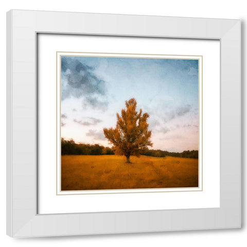 Chickamauga 15 Oil Paint White Modern Wood Framed Art Print with Double Matting by Lee, Rachel