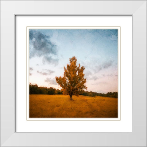 Chickamauga 15 Oil Paint White Modern Wood Framed Art Print with Double Matting by Lee, Rachel