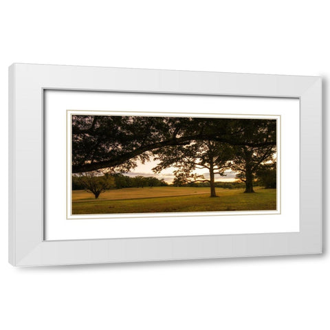 Chickamauga 16 White Modern Wood Framed Art Print with Double Matting by Lee, Rachel