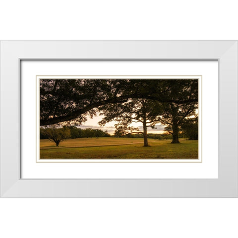 Chickamauga 16 White Modern Wood Framed Art Print with Double Matting by Lee, Rachel