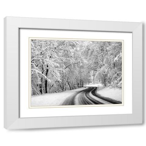 Country Road 23 White Modern Wood Framed Art Print with Double Matting by Lee, Rachel