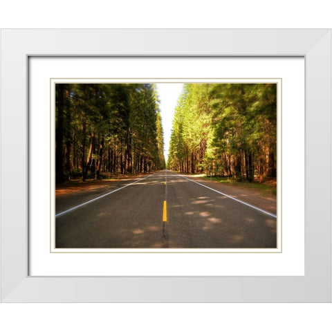 Country Road 3 White Modern Wood Framed Art Print with Double Matting by Lee, Rachel
