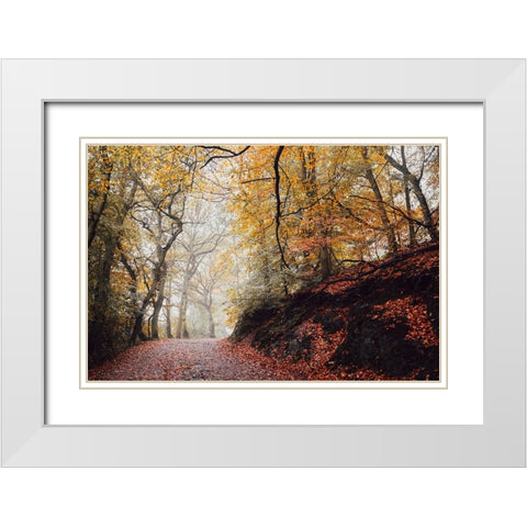 Country Road 4 White Modern Wood Framed Art Print with Double Matting by Lee, Rachel