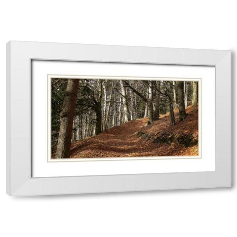 Country Road 5 White Modern Wood Framed Art Print with Double Matting by Lee, Rachel