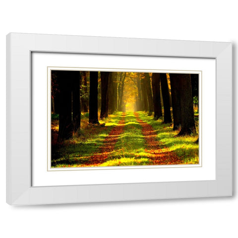 Country Road 6 White Modern Wood Framed Art Print with Double Matting by Lee, Rachel