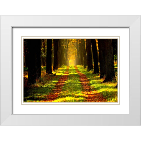 Country Road 6 White Modern Wood Framed Art Print with Double Matting by Lee, Rachel