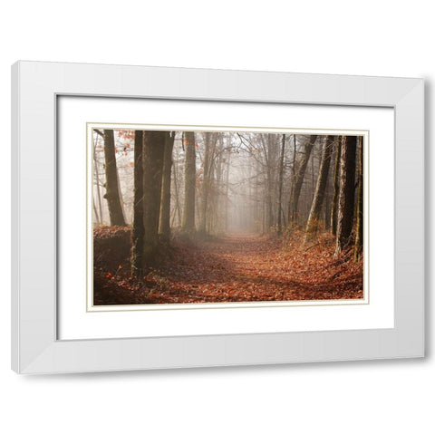 Country Road 7 White Modern Wood Framed Art Print with Double Matting by Lee, Rachel