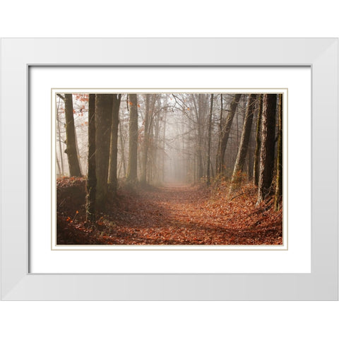 Country Road 7 White Modern Wood Framed Art Print with Double Matting by Lee, Rachel