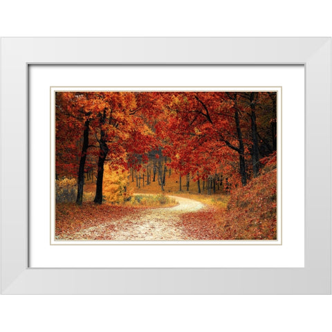 Country Road 9 White Modern Wood Framed Art Print with Double Matting by Lee, Rachel
