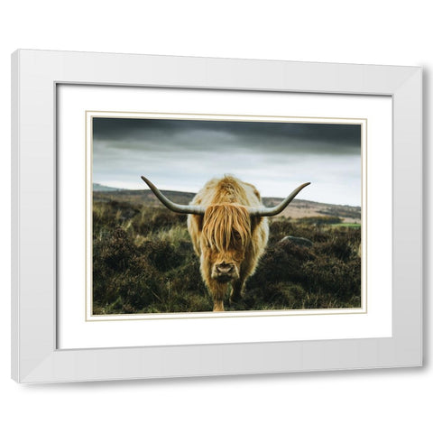 Cow 1 White Modern Wood Framed Art Print with Double Matting by Lee, Rachel