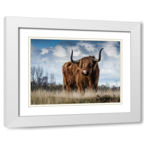 Cow 2 White Modern Wood Framed Art Print with Double Matting by Lee, Rachel