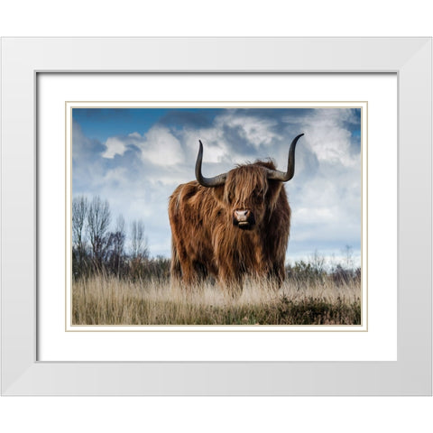 Cow 2 White Modern Wood Framed Art Print with Double Matting by Lee, Rachel