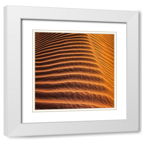 Desert 3 White Modern Wood Framed Art Print with Double Matting by Lee, Rachel