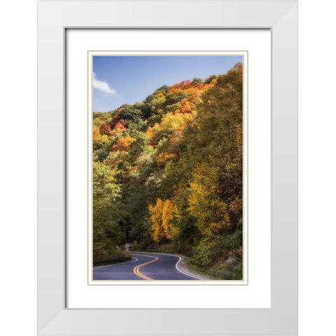 Fall Bend White Modern Wood Framed Art Print with Double Matting by Lee, Rachel
