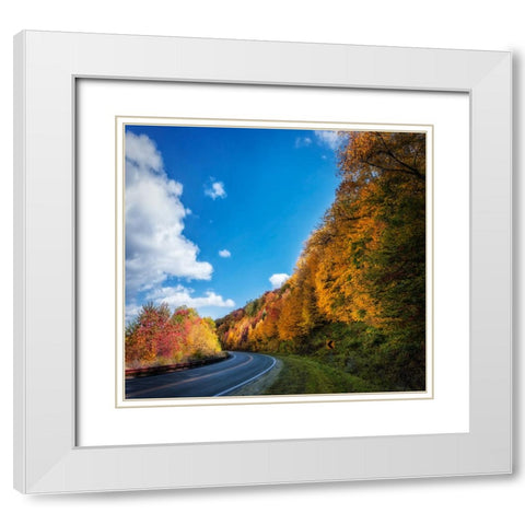 Fall Curve White Modern Wood Framed Art Print with Double Matting by Lee, Rachel