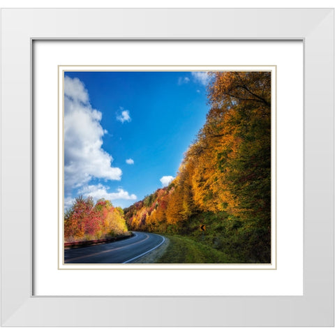 Fall Curve White Modern Wood Framed Art Print with Double Matting by Lee, Rachel