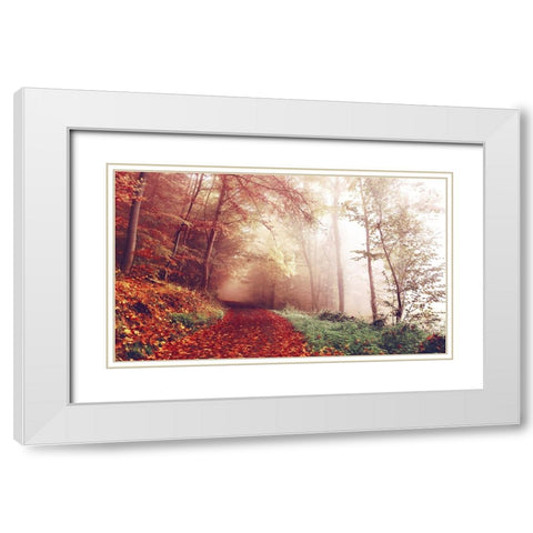 Fall Road White Modern Wood Framed Art Print with Double Matting by Lee, Rachel
