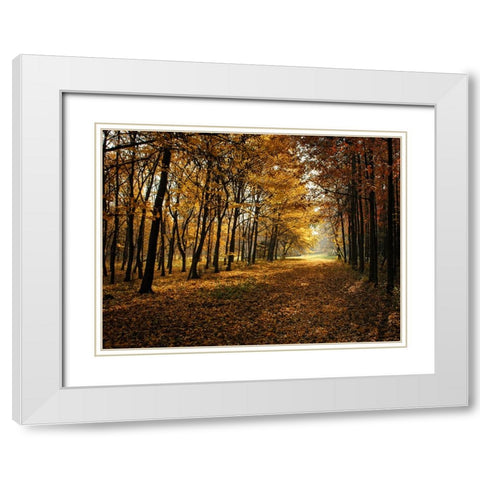 Fall Trees 9 White Modern Wood Framed Art Print with Double Matting by Lee, Rachel