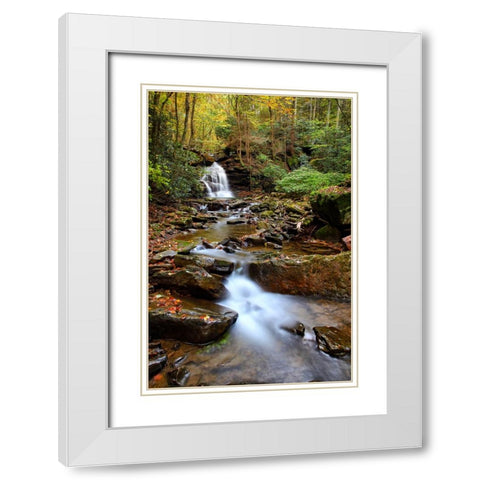 Falls 1 White Modern Wood Framed Art Print with Double Matting by Lee, Rachel