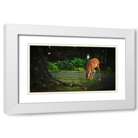 Fawn White Modern Wood Framed Art Print with Double Matting by Lee, Rachel