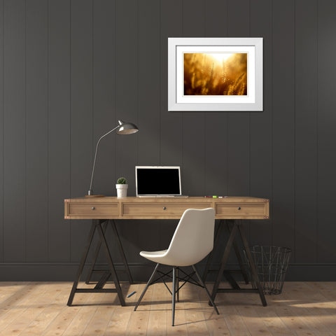 Field 10 White Modern Wood Framed Art Print with Double Matting by Lee, Rachel