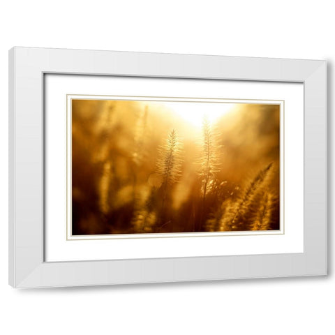 Field 10 White Modern Wood Framed Art Print with Double Matting by Lee, Rachel