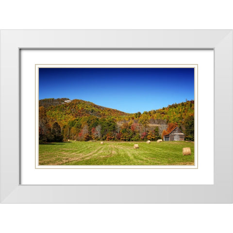Field 13 White Modern Wood Framed Art Print with Double Matting by Lee, Rachel