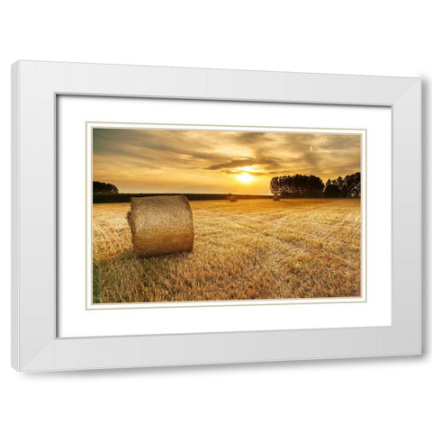 Field 14 White Modern Wood Framed Art Print with Double Matting by Lee, Rachel