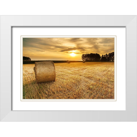 Field 14 White Modern Wood Framed Art Print with Double Matting by Lee, Rachel
