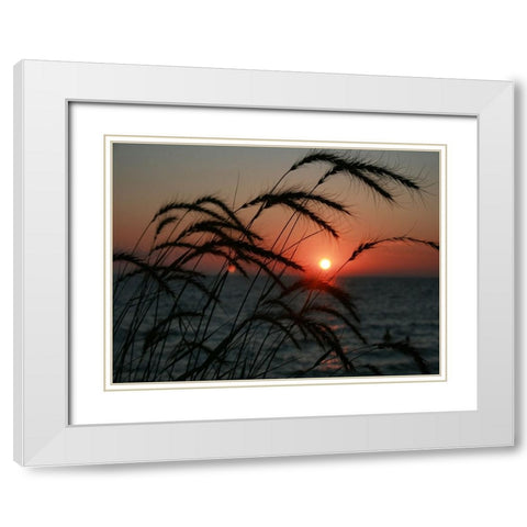 Field 18 White Modern Wood Framed Art Print with Double Matting by Lee, Rachel