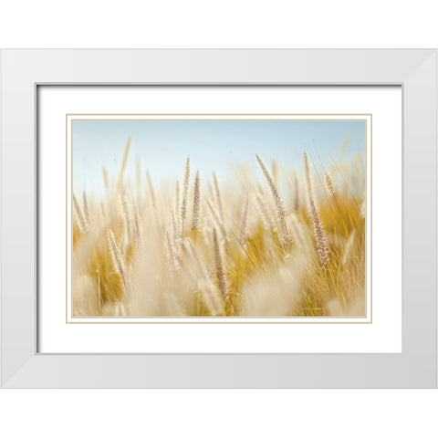 Field 6 White Modern Wood Framed Art Print with Double Matting by Lee, Rachel