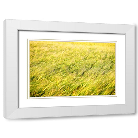Field 8 White Modern Wood Framed Art Print with Double Matting by Lee, Rachel