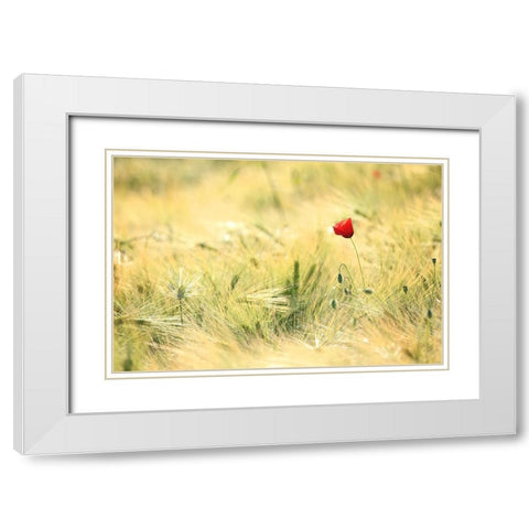Field 9 White Modern Wood Framed Art Print with Double Matting by Lee, Rachel
