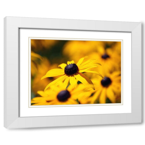 Flower 46 White Modern Wood Framed Art Print with Double Matting by Lee, Rachel