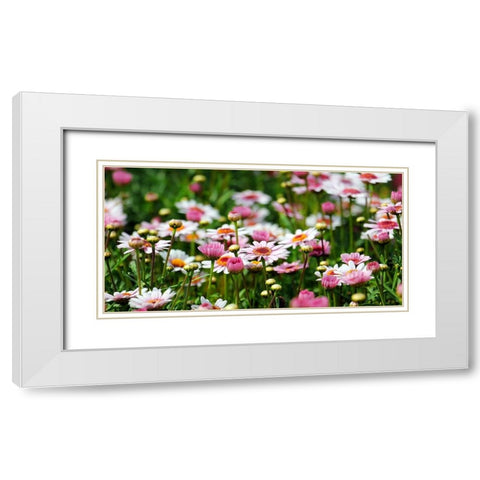 Flower 48 White Modern Wood Framed Art Print with Double Matting by Lee, Rachel