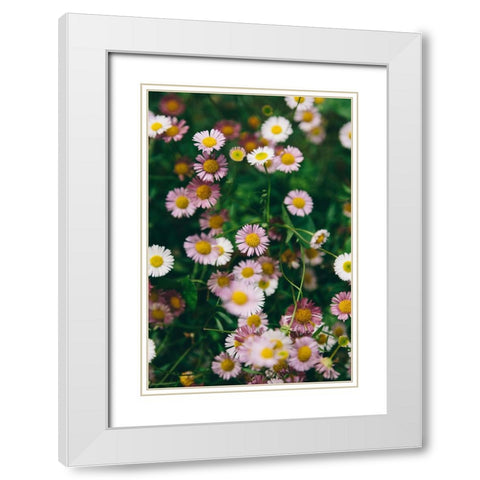 Flower 53 White Modern Wood Framed Art Print with Double Matting by Lee, Rachel