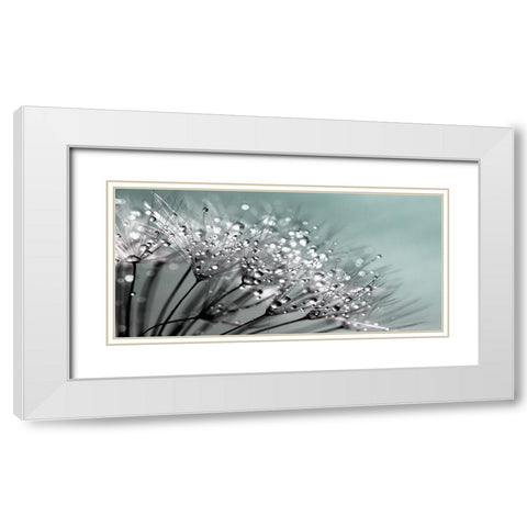 Flower 55 Grayscale White Modern Wood Framed Art Print with Double Matting by Lee, Rachel