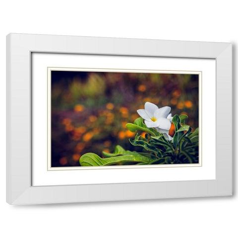 Flower 6 White Modern Wood Framed Art Print with Double Matting by Lee, Rachel