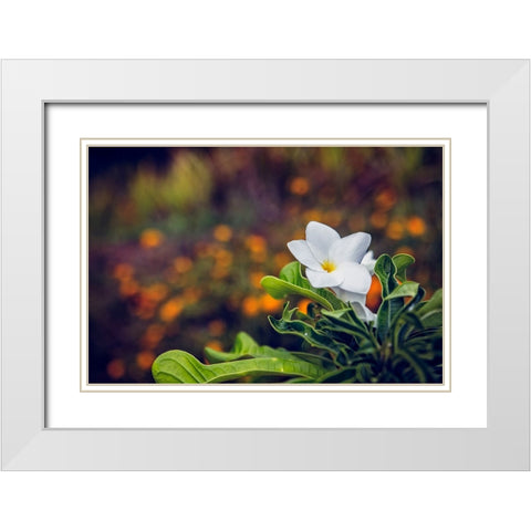 Flower 6 White Modern Wood Framed Art Print with Double Matting by Lee, Rachel