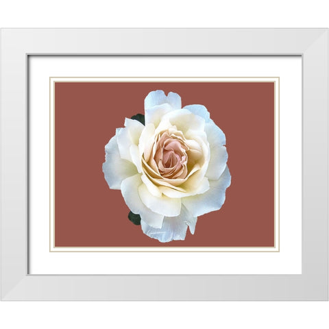 Flower 60 White Modern Wood Framed Art Print with Double Matting by Lee, Rachel