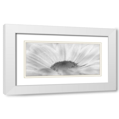 Flower 68 Grayscale Watercolor White Modern Wood Framed Art Print with Double Matting by Lee, Rachel