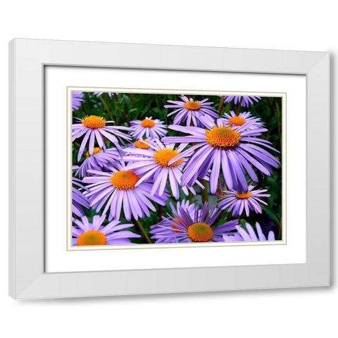 Flower 69 White Modern Wood Framed Art Print with Double Matting by Lee, Rachel