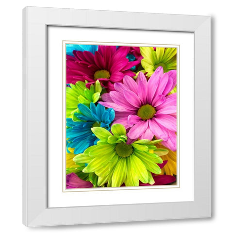 Flower 74 White Modern Wood Framed Art Print with Double Matting by Lee, Rachel