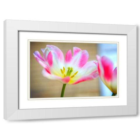 Flower Pink White Modern Wood Framed Art Print with Double Matting by Lee, Rachel