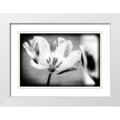 Flower Pink BW Holga White Modern Wood Framed Art Print with Double Matting by Lee, Rachel