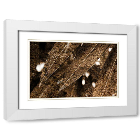 Foliage Textured 4 White Modern Wood Framed Art Print with Double Matting by Lee, Rachel