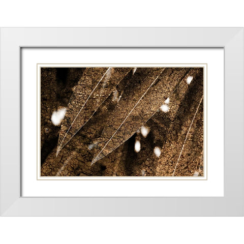 Foliage Textured 4 White Modern Wood Framed Art Print with Double Matting by Lee, Rachel