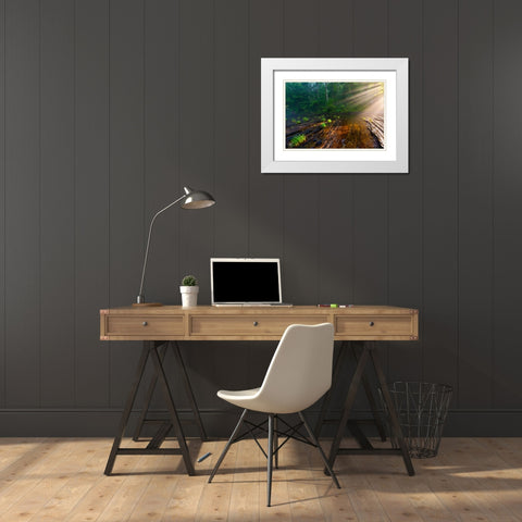 Hiwassee Morning Rays White Modern Wood Framed Art Print with Double Matting by Lee, Rachel