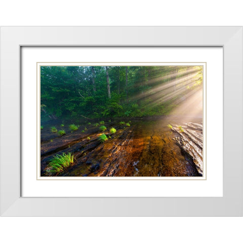 Hiwassee Morning Rays White Modern Wood Framed Art Print with Double Matting by Lee, Rachel